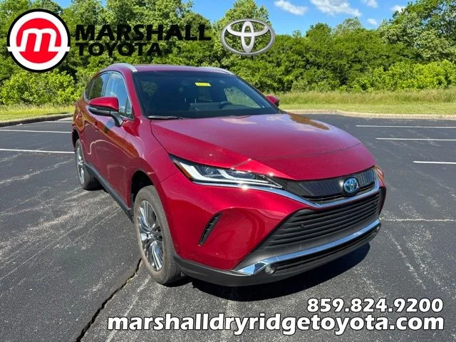2024 Toyota Venza XLE Hybrid AWD's photo