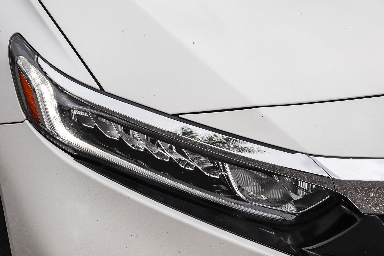 Certified Used 2020 Platinum White Pearl Honda LX image 6