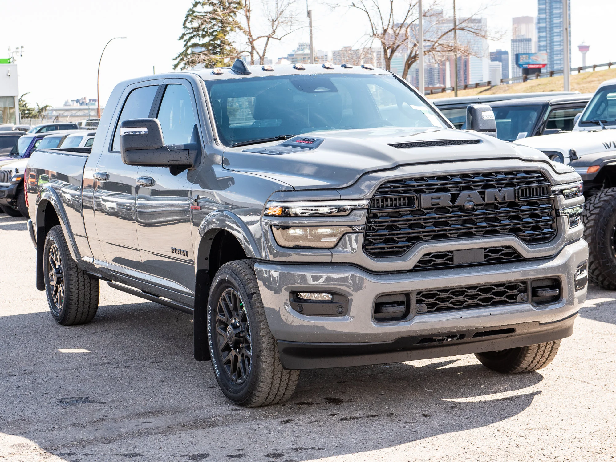 New 2026 Grey RAM Limited* image 9