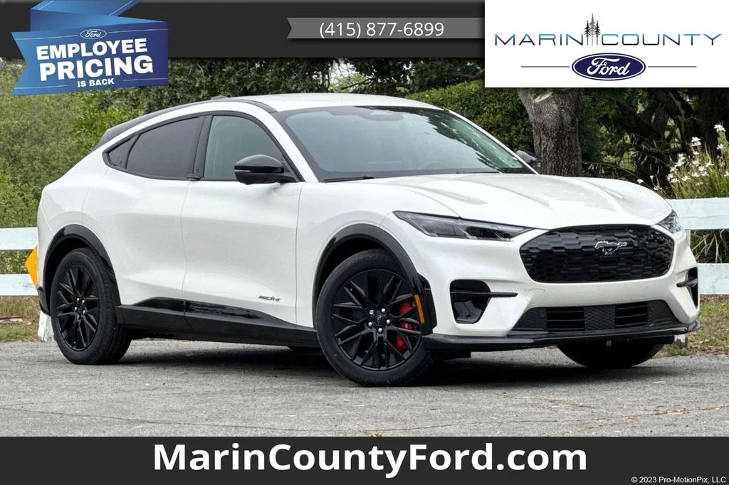 2025 Ford Mustang-Mach-e Premium's photo