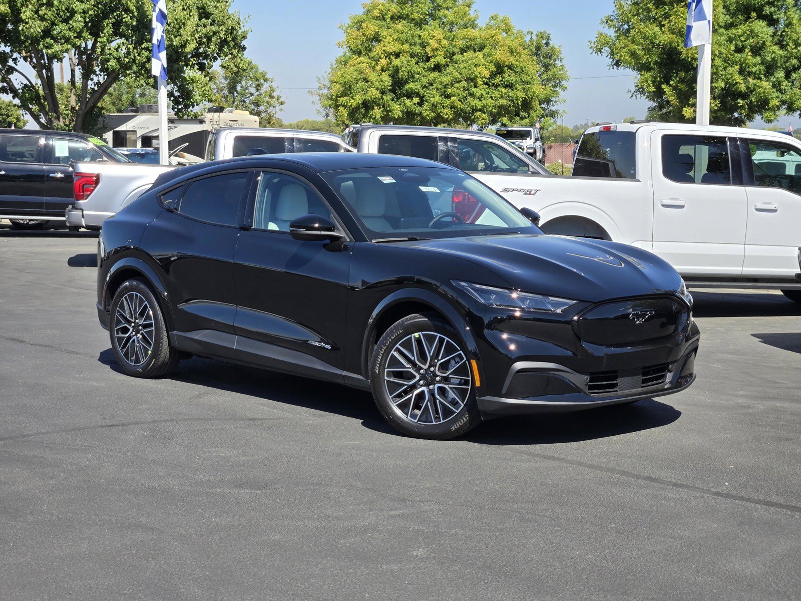 New 2026 Shadow Black Ford Premium image 1