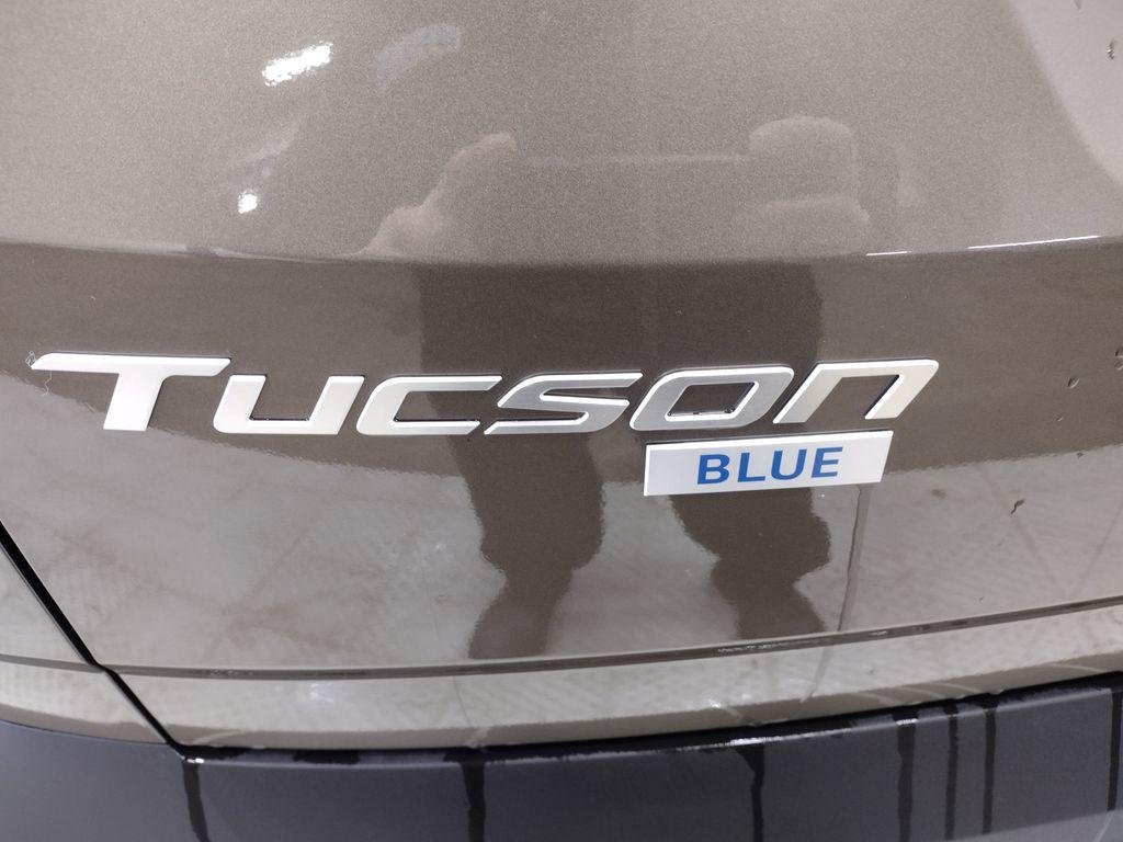 New 2026 Cashmere Hyundai Blue SE image 14