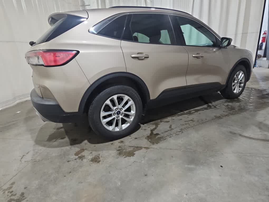 Used 2020 Desert Gold Metallic Ford SE image 4