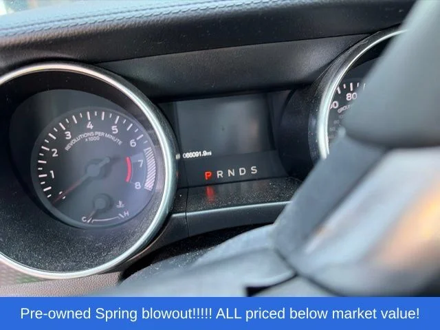 Used 2019 Green Ford EcoBoost Premium image 13