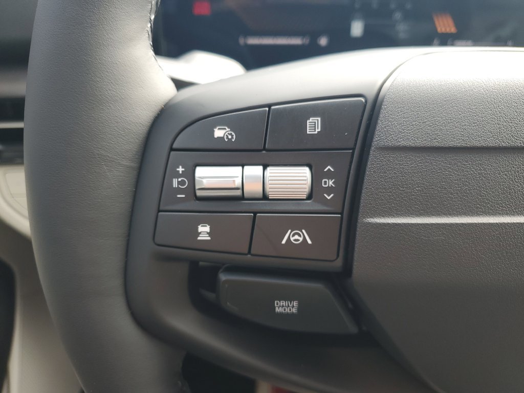 New 2026 Panthera Metal Kia EX image 28