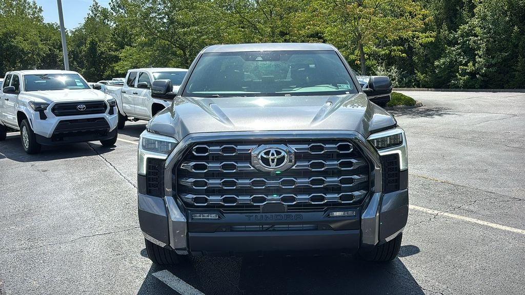 New 2026 Magnetic Gray Metallic Toyota  Platinum image 8
