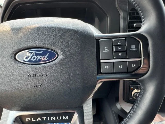 Used 2025 Gray Ford Platinum image 62