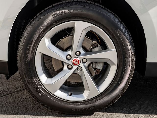 Used 2019 Fuji White Jaguar 25t Premium image 11