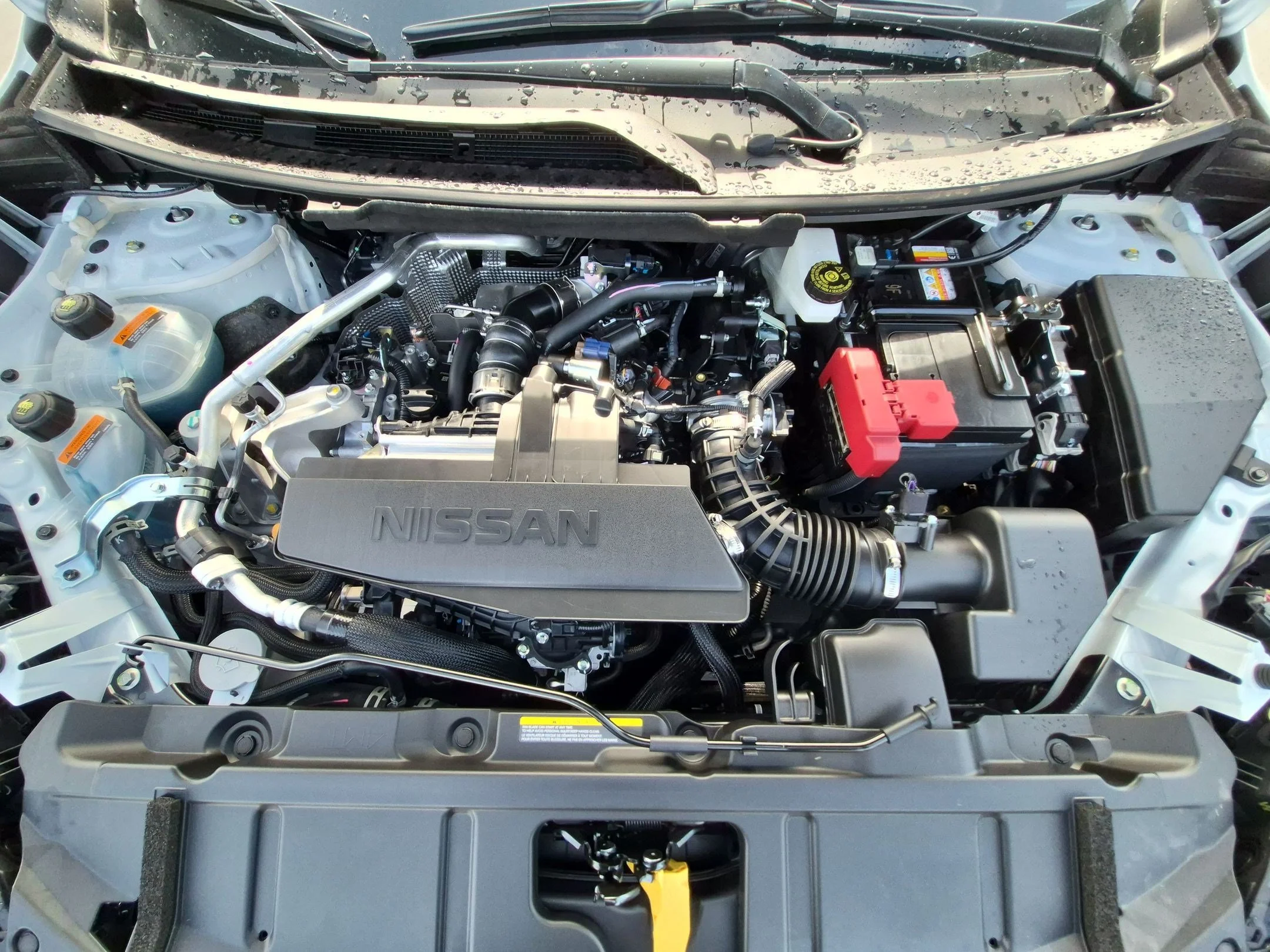 New 2026 Everest White Pearl TriCoat Nissan Platinum image 33