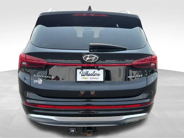 Used 2023 Black Hyundai Calligraphy image 4