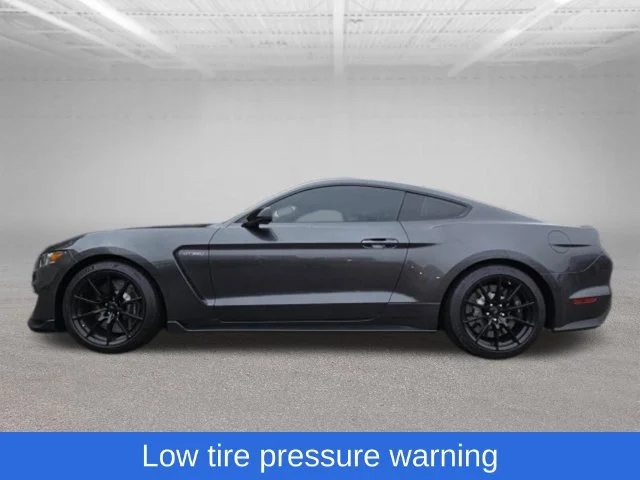 Used 2016 Magnetic Ford Shelby GT350R image 4