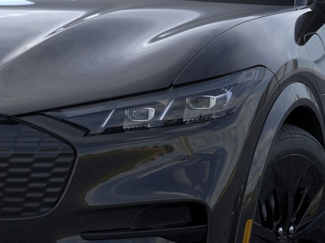 New 2026 Shadow Black Ford GT image 18