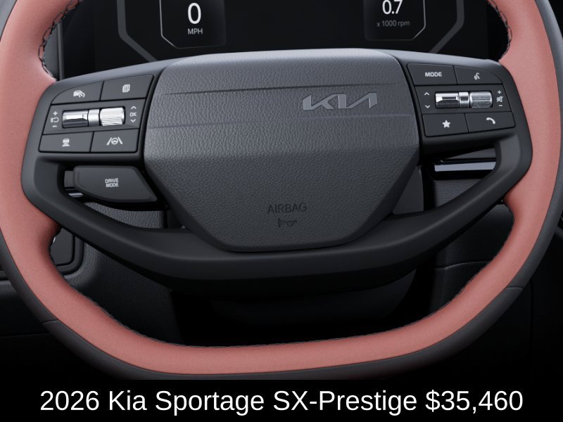 New 2026 Panthera Metal Matte Kia SX Prestige image 23