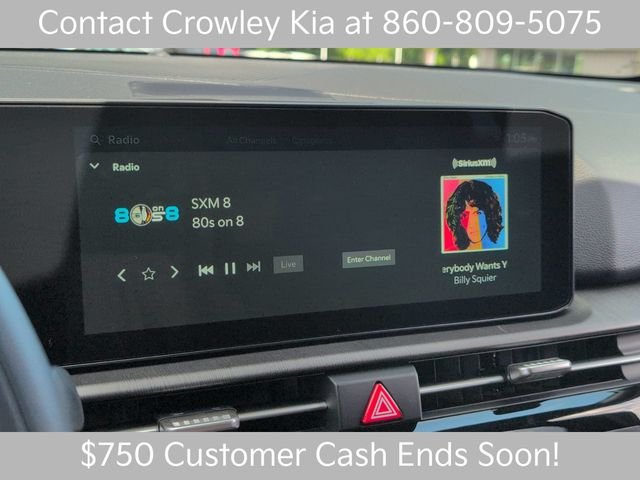 New 2026 Panthera Metal Kia X-Line image 17