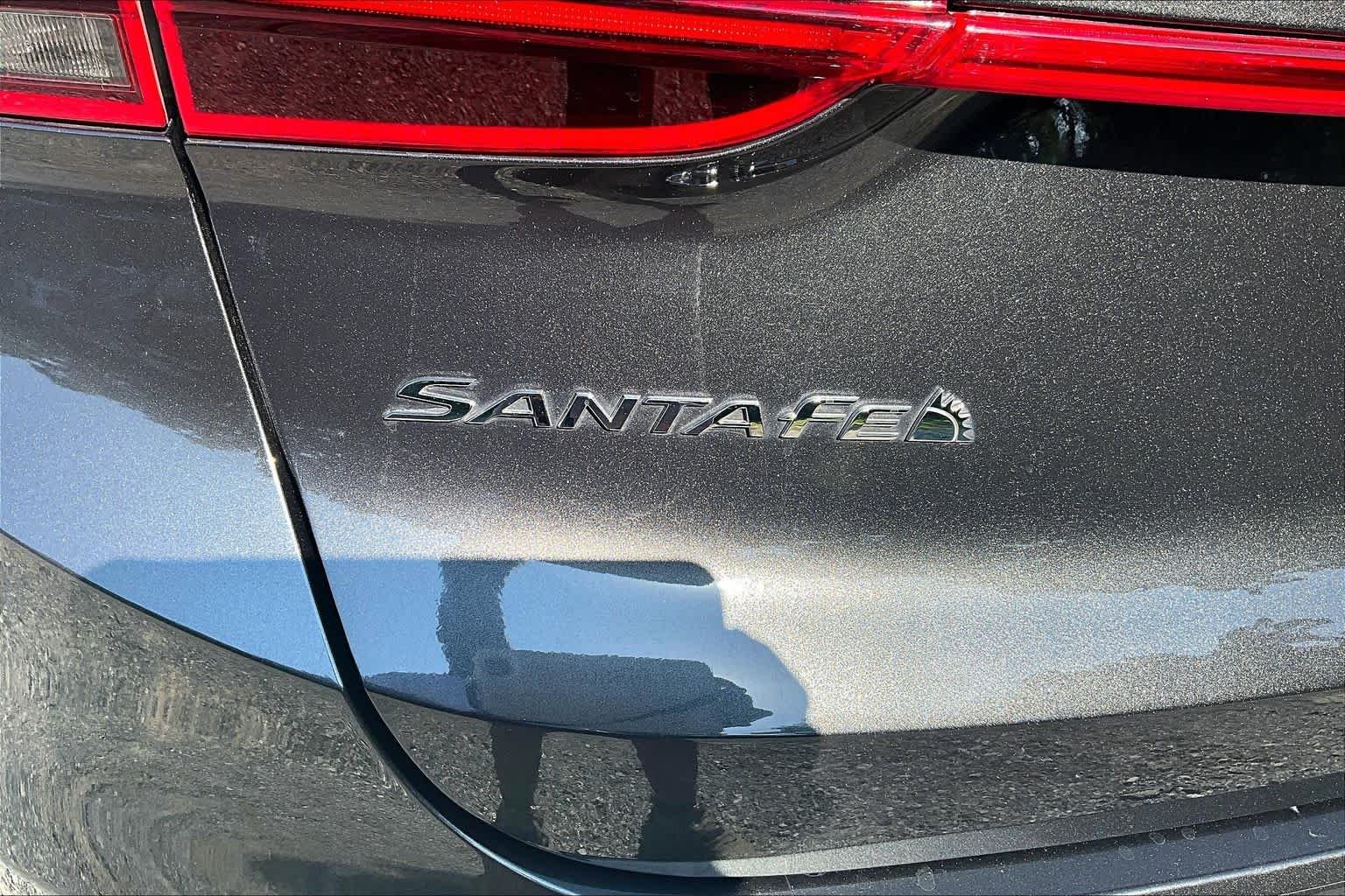 Used 2023 Portofino Gray Hyundai Calligraphy image 10