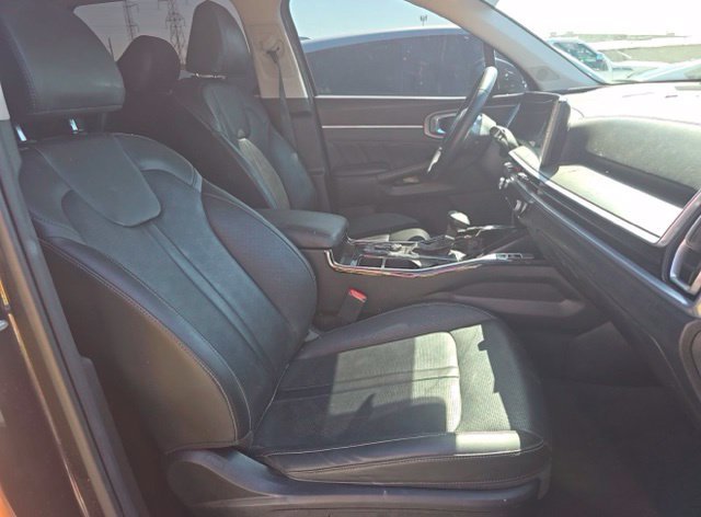 Used 2025 Panthera Metal Kia SX image 9
