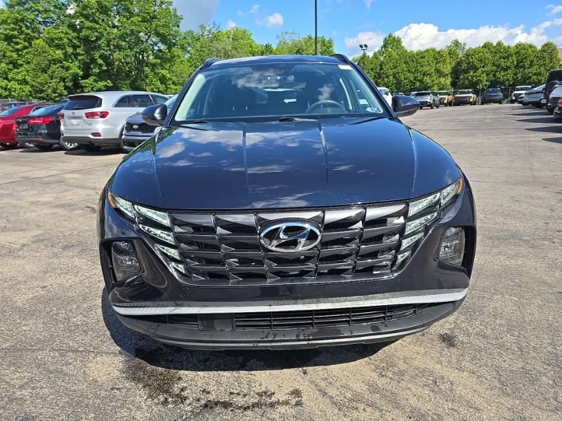 Used 2024 Blue Hyundai Blue image 2