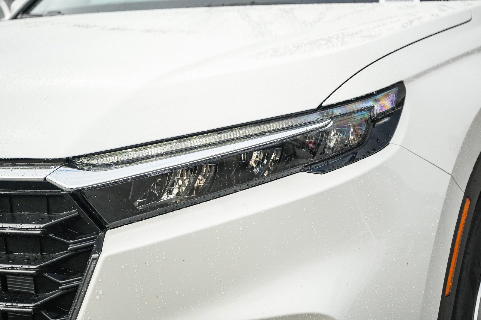 New 2027 Platinum White Pearl Honda LX image 4