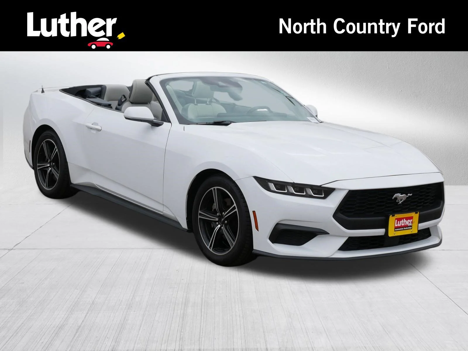 2024 Ford Mustang EcoBoost Premium Convertible's photo