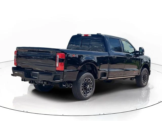 New 2026 Black Metallic Ford Platinum image 5