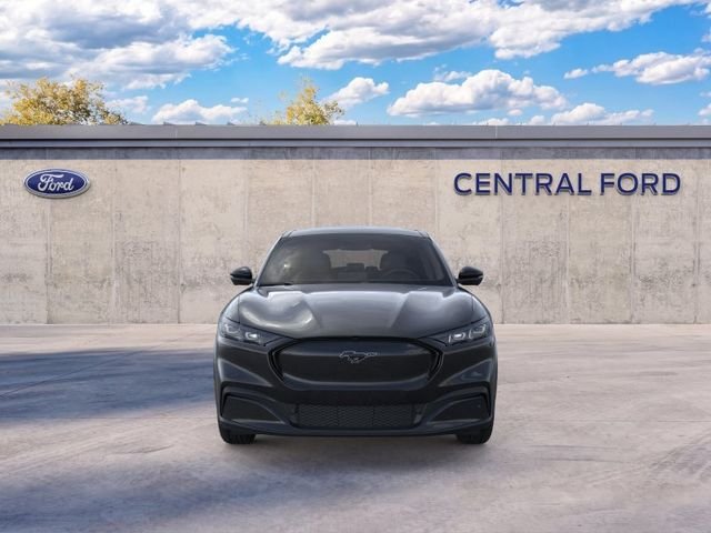 New 2026 Shadow Black Ford Premium image 6