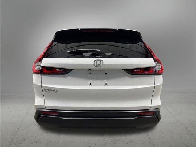 New 2026 Platinum White Pearl Honda EX-L image 4
