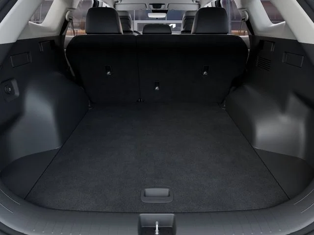 New 2026 Panthera Metal Kia EX image 19