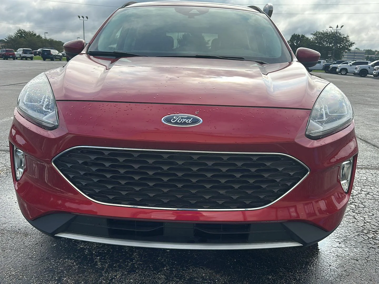 Used 2021 Ford Escape SEL with VIN 1FMCU9H62MUA35504 for sale in Logansport, IN