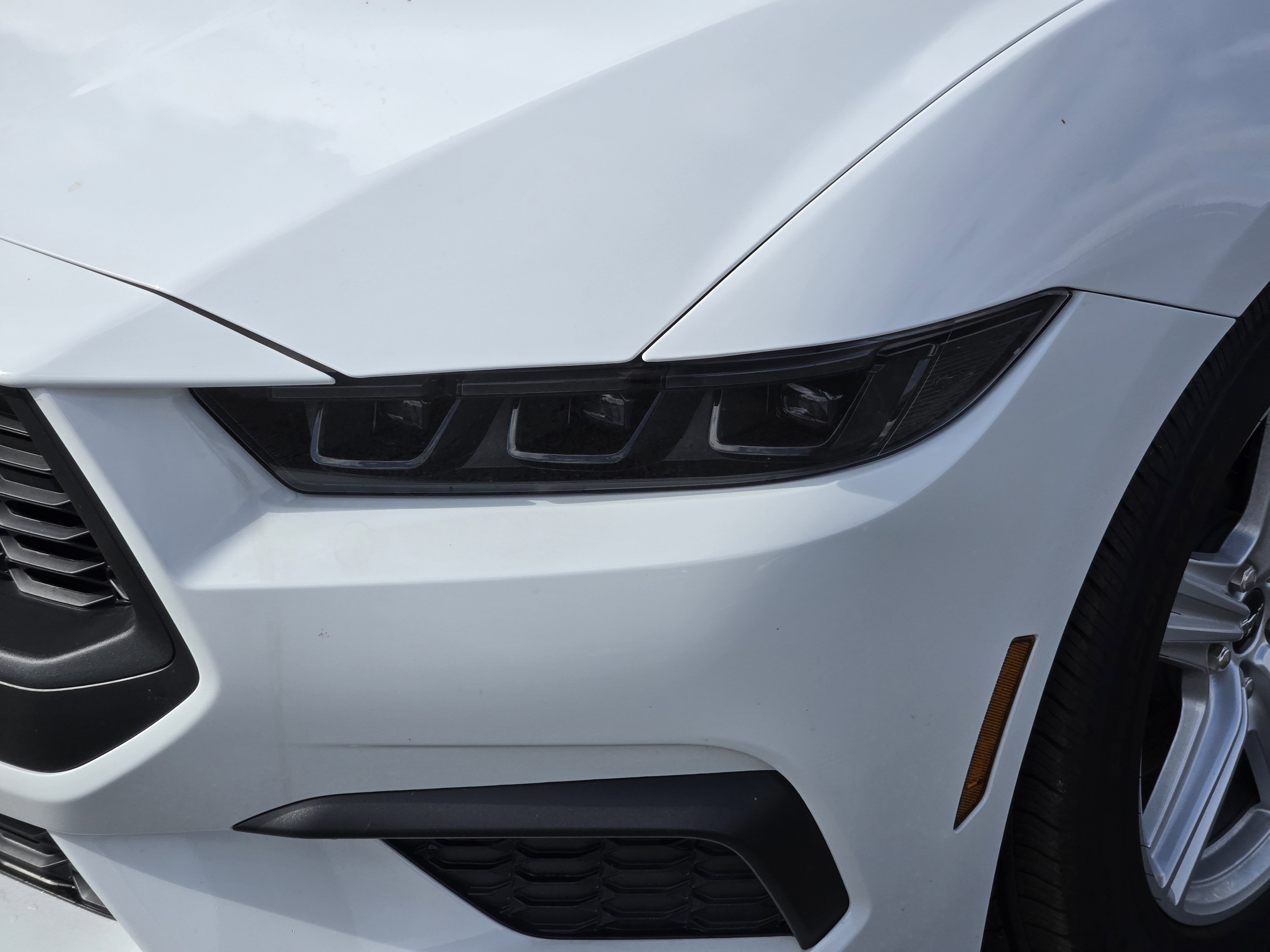 New 2026 Oxford White Ford EcoBoost Fastback image 5