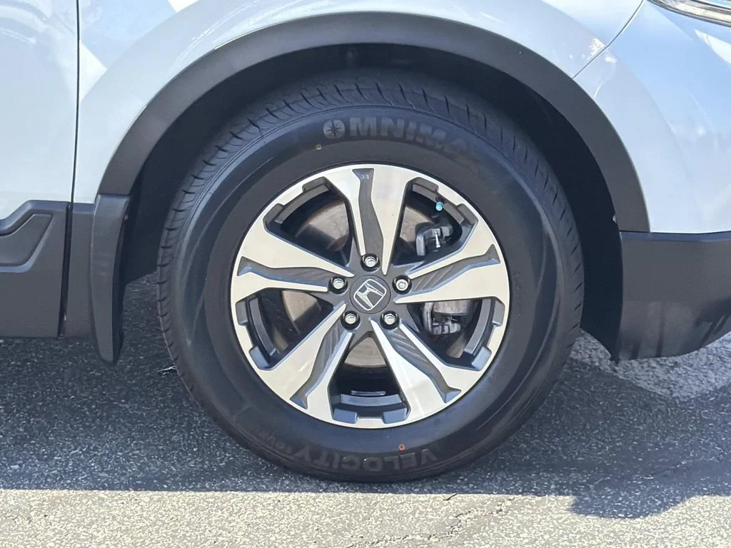 Used 2019 Platinum White Pearl Honda LX image 32
