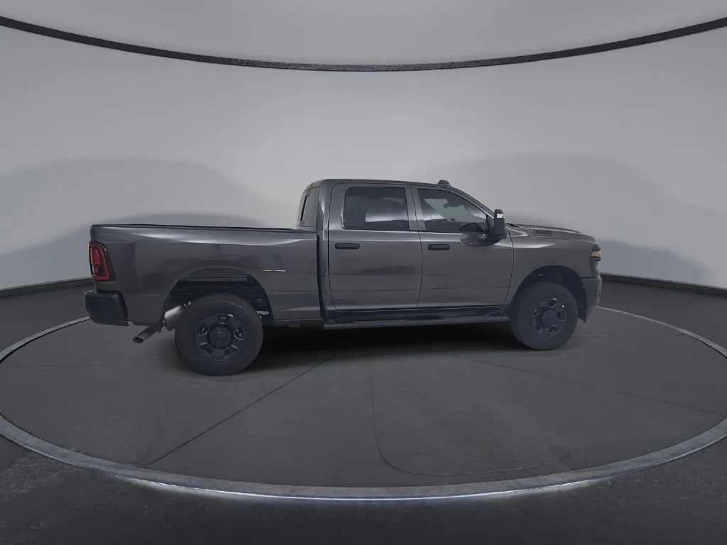 New 2026 Granite Crystal Metallic Clear-Coat Exterior Paint RAM Tradesman image 15