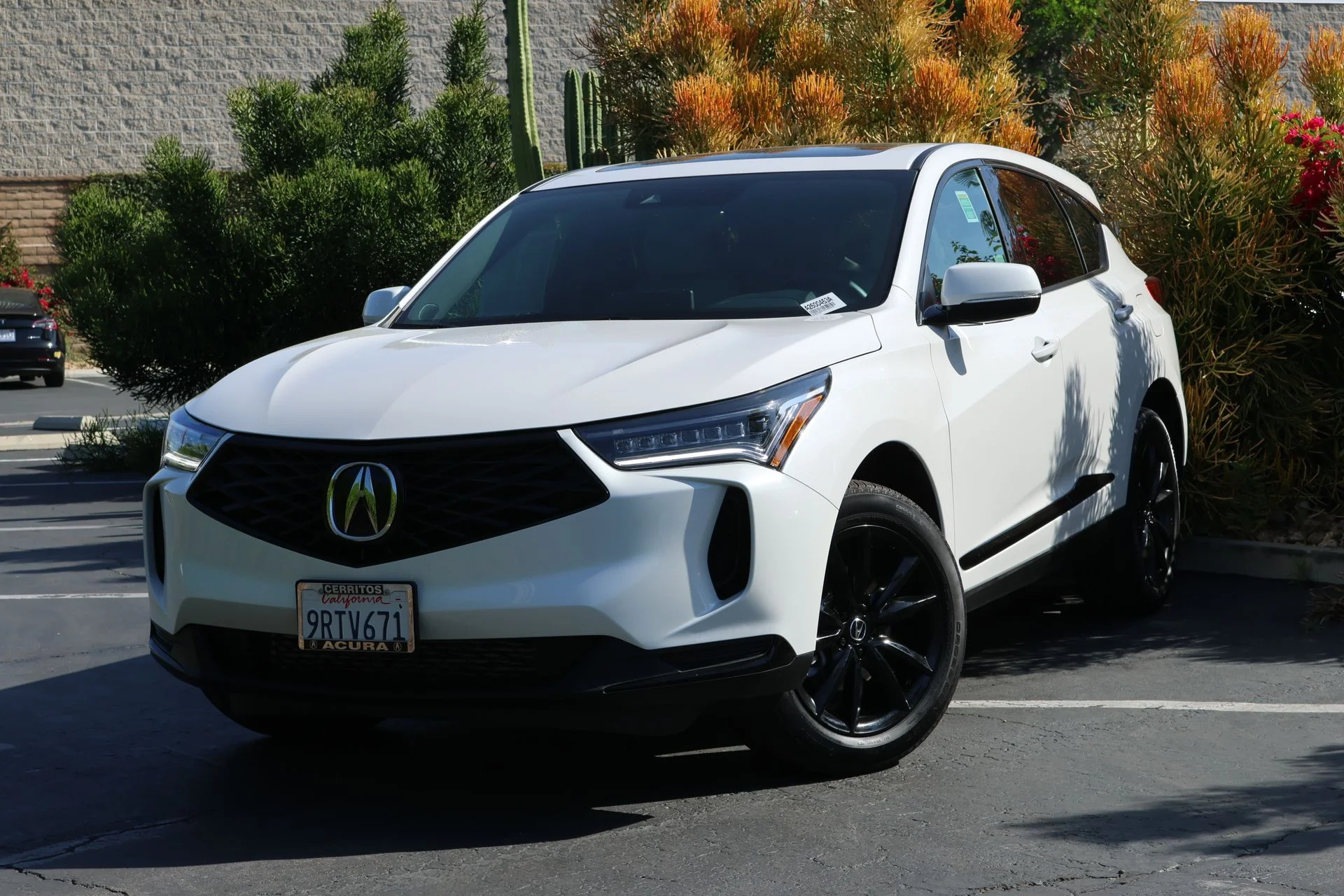 2025 Acura RDX SH-AWD's photo