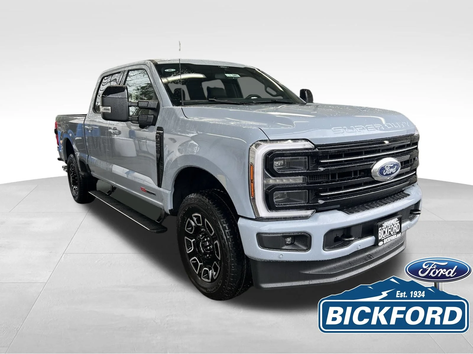 New 2026 Gray Ford Platinum image 3