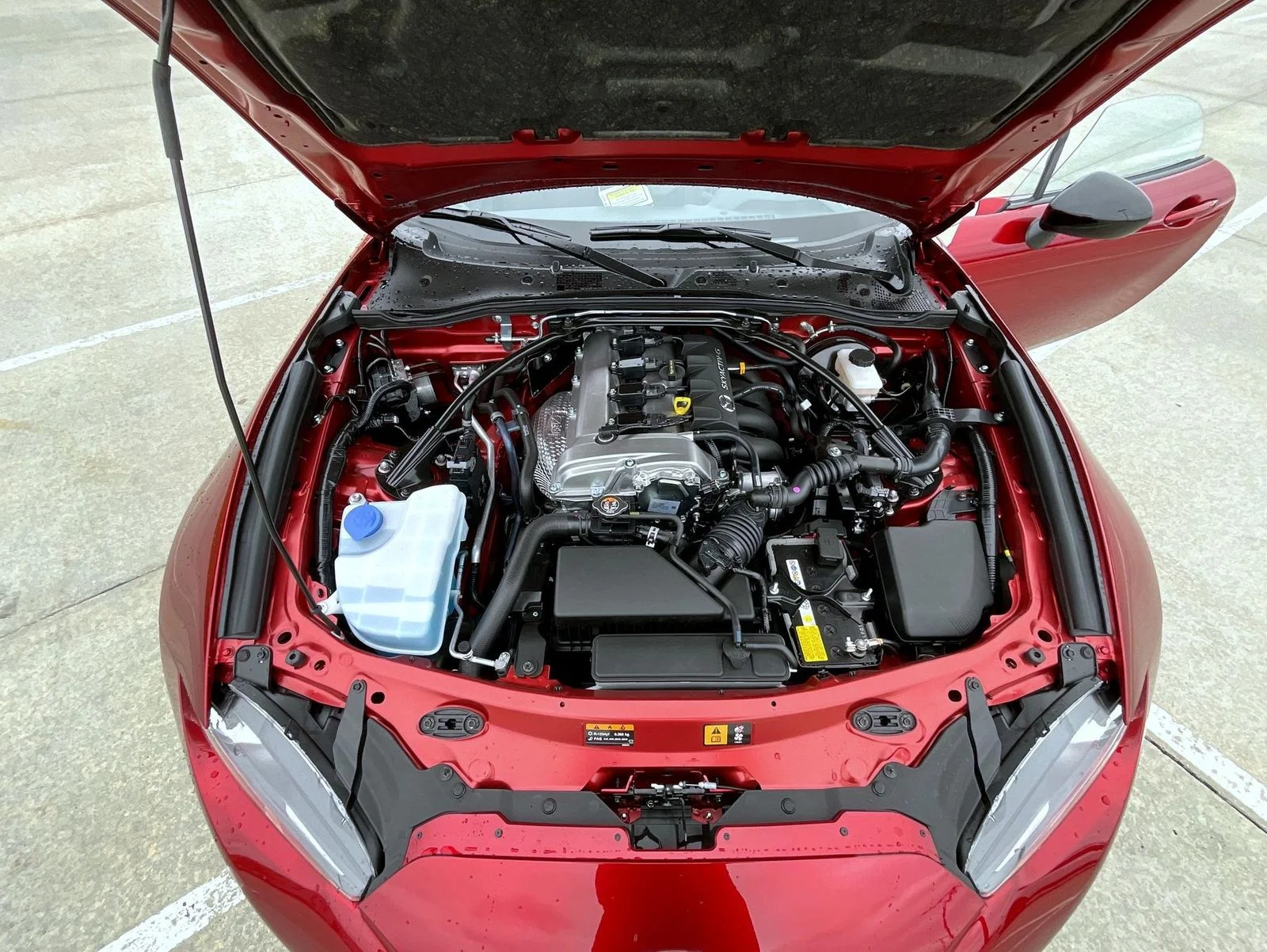 New 2026 Red Mazda Club image 20