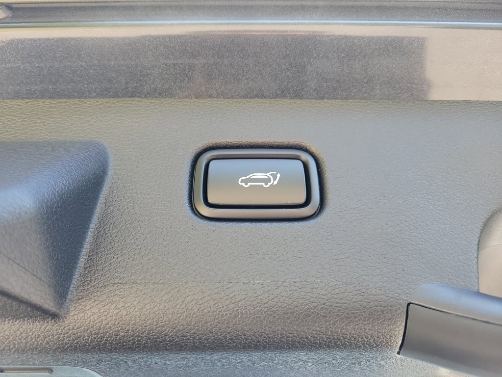 New 2026 Panthera Metal Kia EX image 15