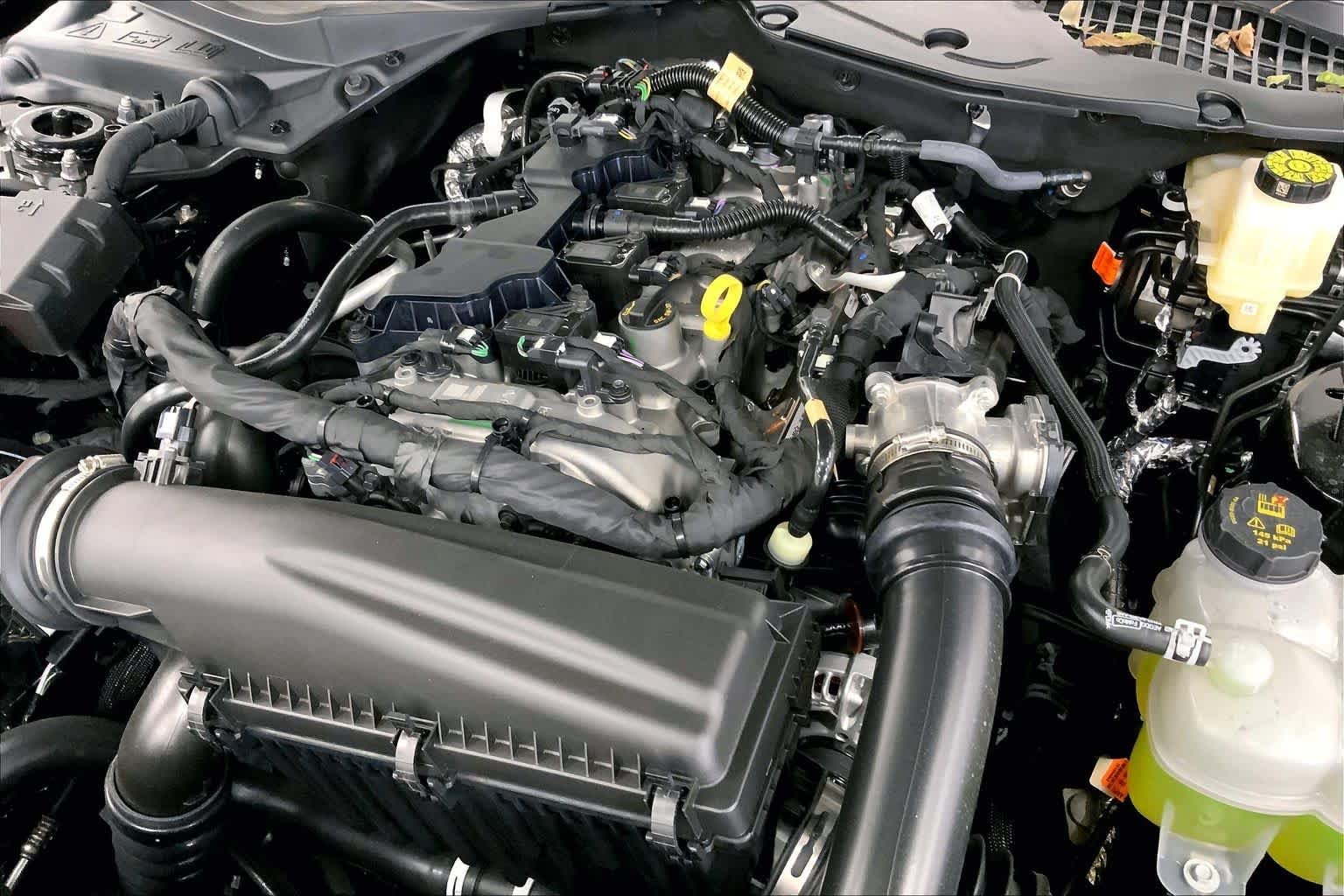 New 2026 Shadow Black Ford EcoBoost® Fastback image 16