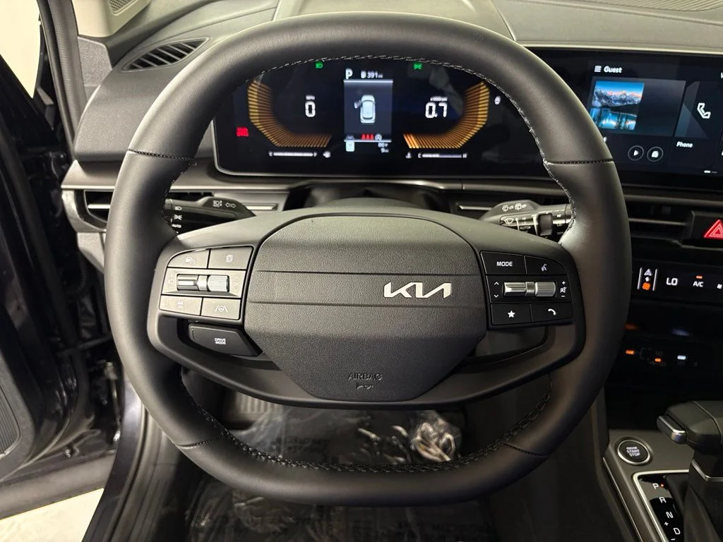 New 2026 Panthera Metal Kia EX image 19