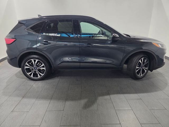 Used 2022 Blue Ford SEL image 6