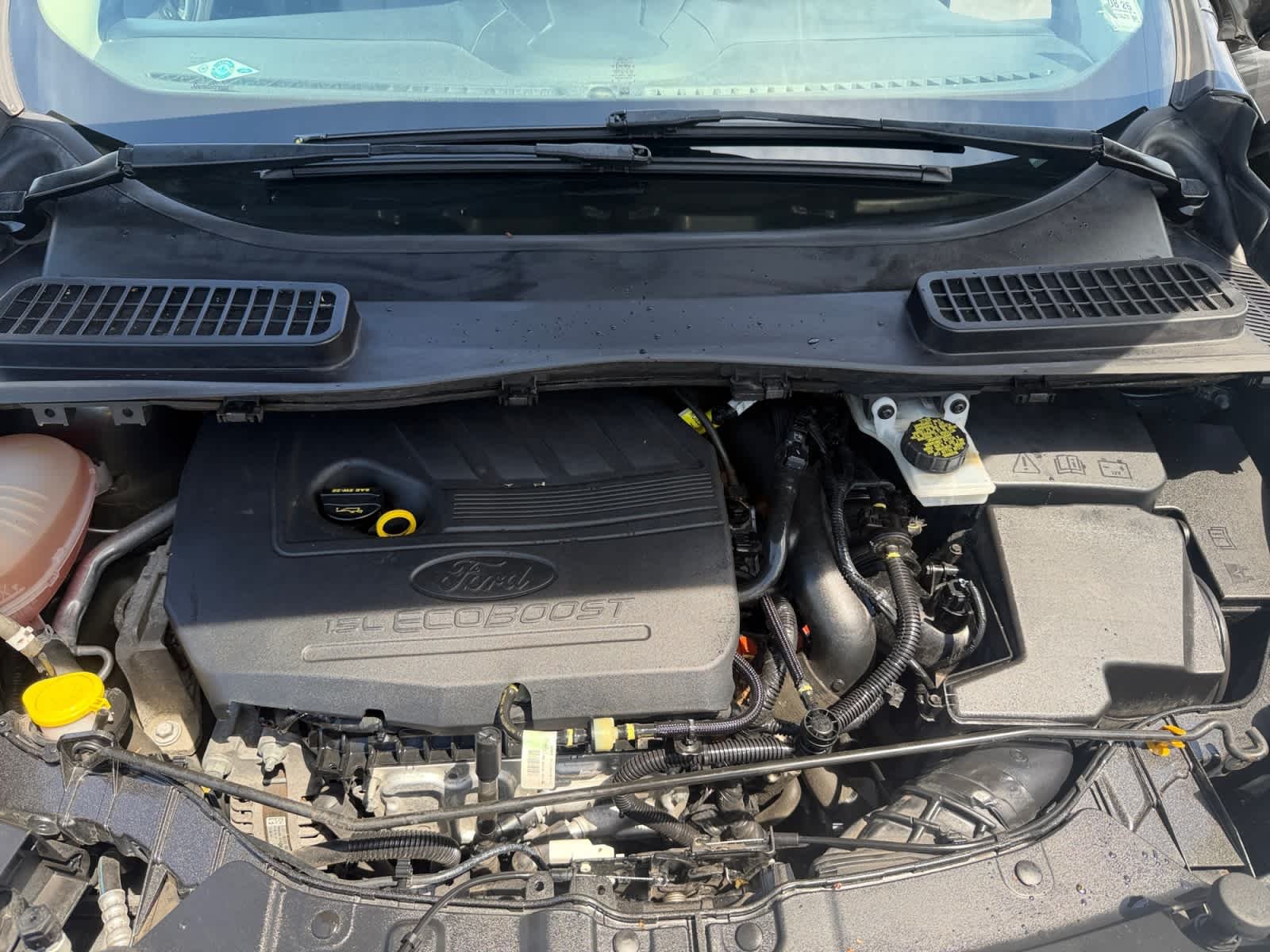 Used 2017 Magnetic Ford SE image 25