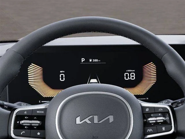 New 2026 Panthera Metal Kia LXS image 11