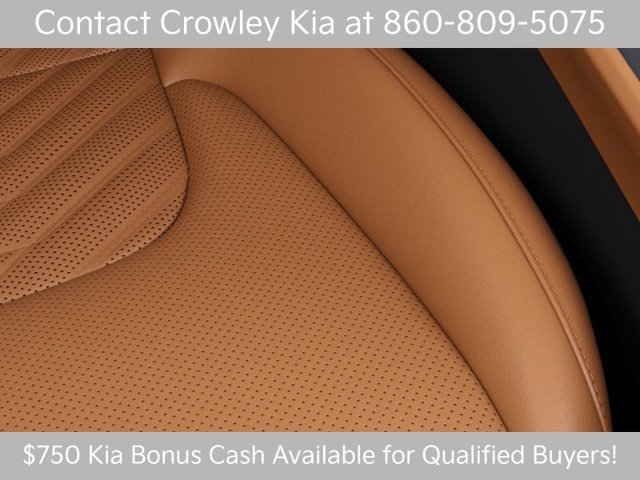 New 2027 Glacial White Pearl / Black Ro Kia X-Line image 24