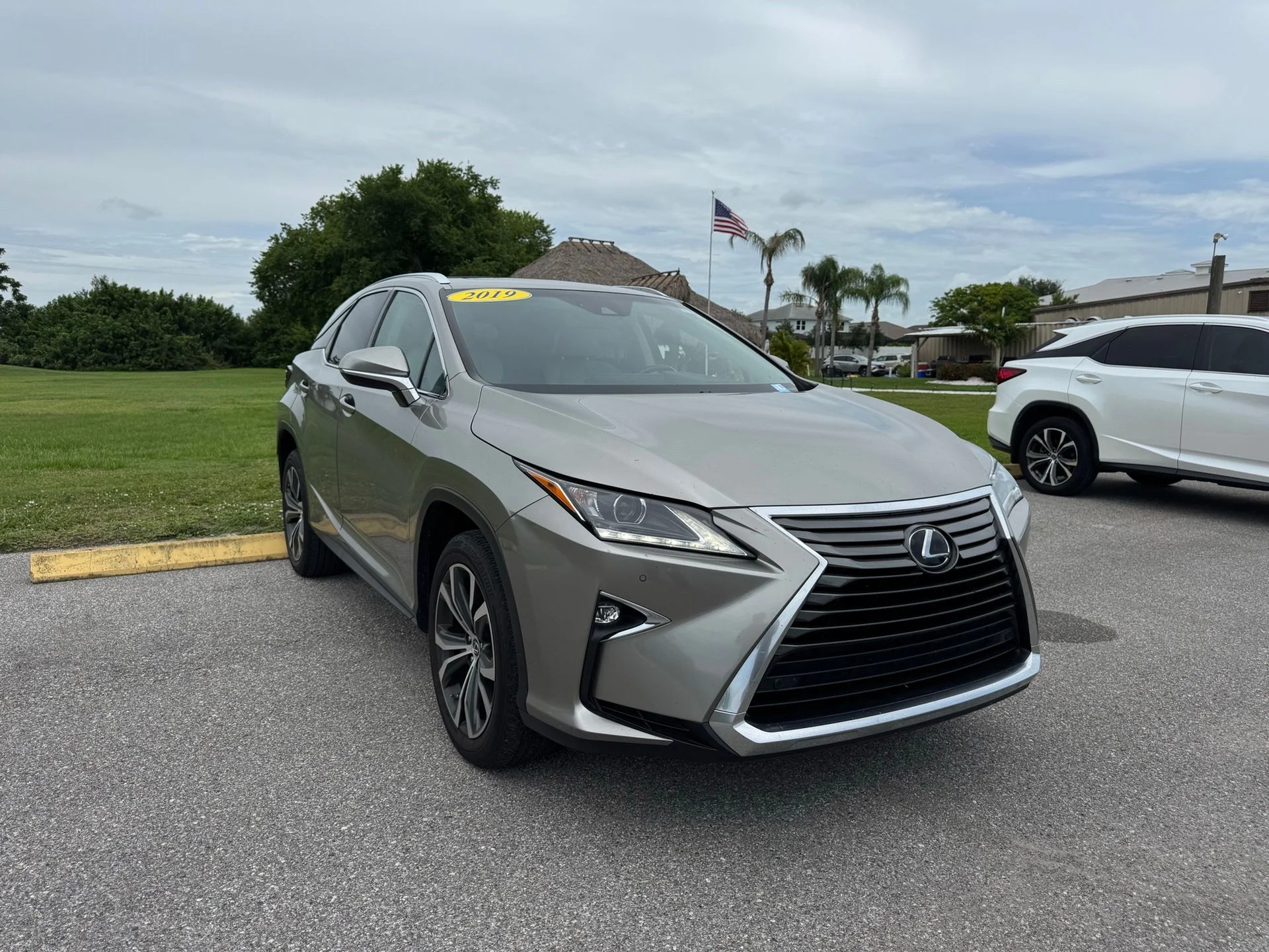 2019 Lexus RX 350 350 FWD's photo