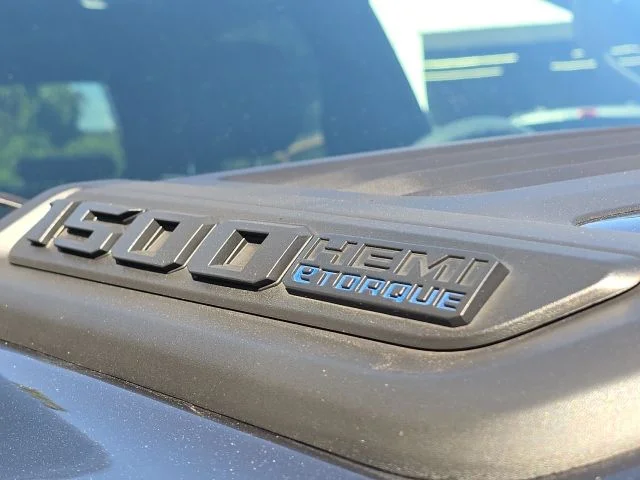 Used 2021 Gray Ram Limited image 9