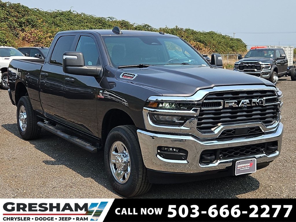 New 2026 Granite Crystal Metallic Clear-Coat Exterior Paint RAM Tradesman image 1