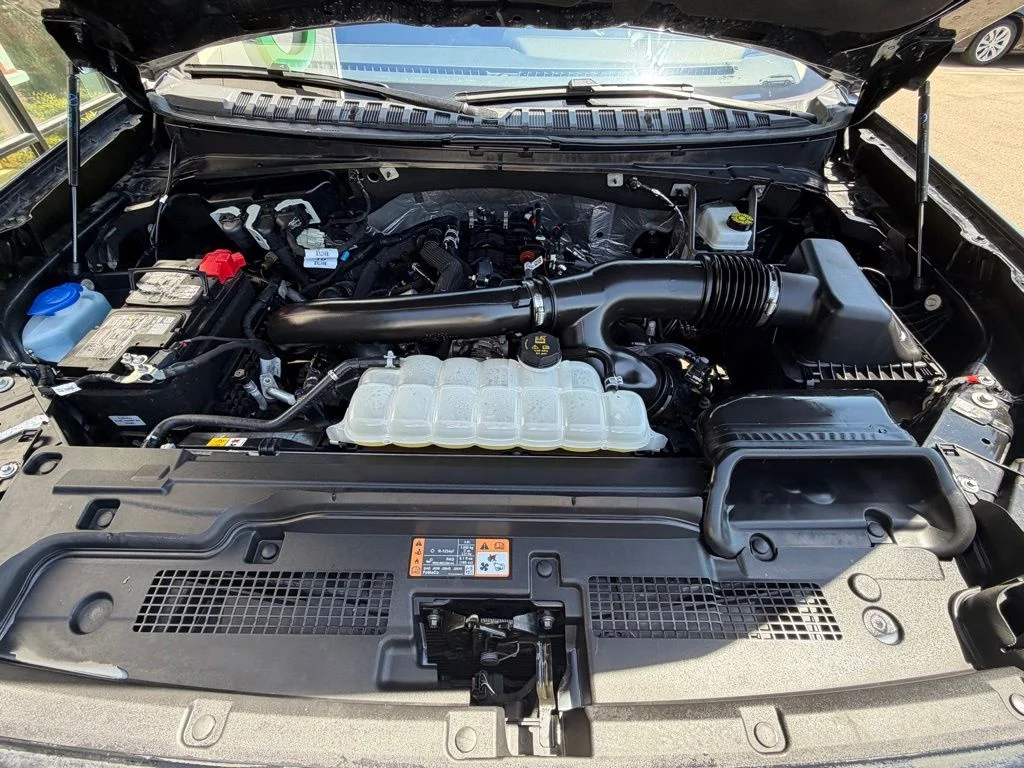 Used 2025 Black Ford Active image 6