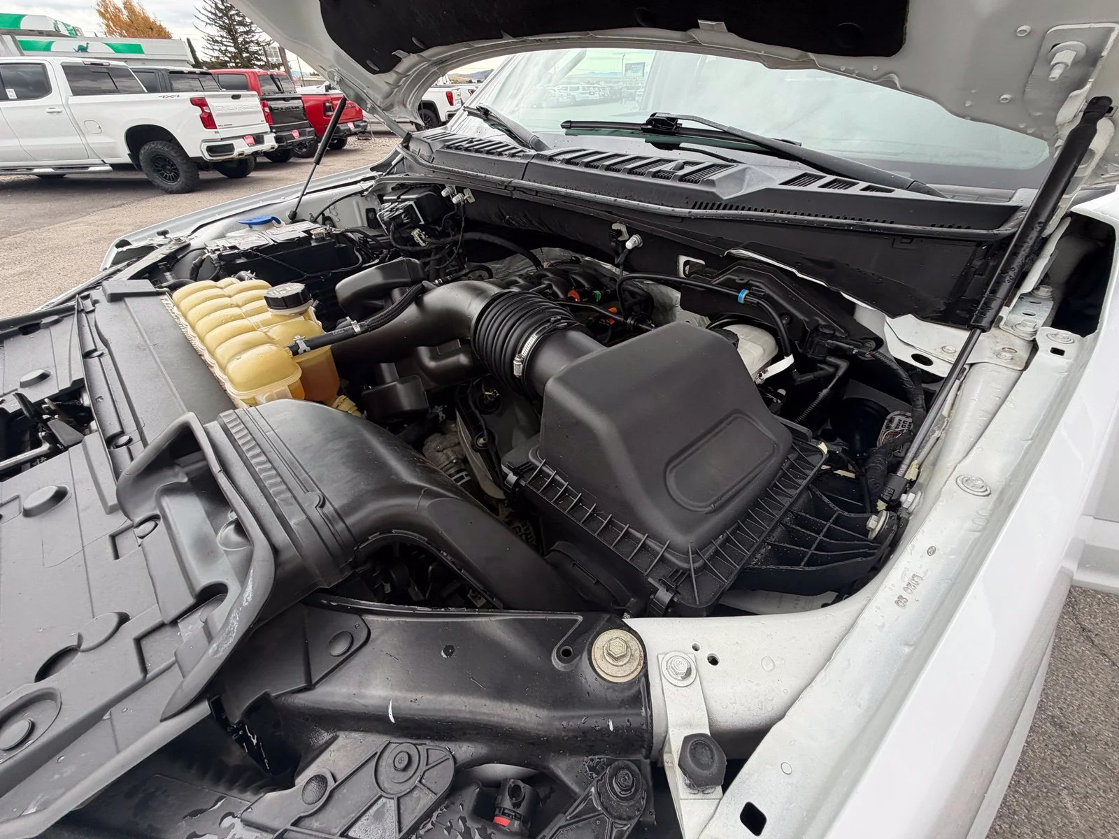 Used 2020 White Ford XLT image 34