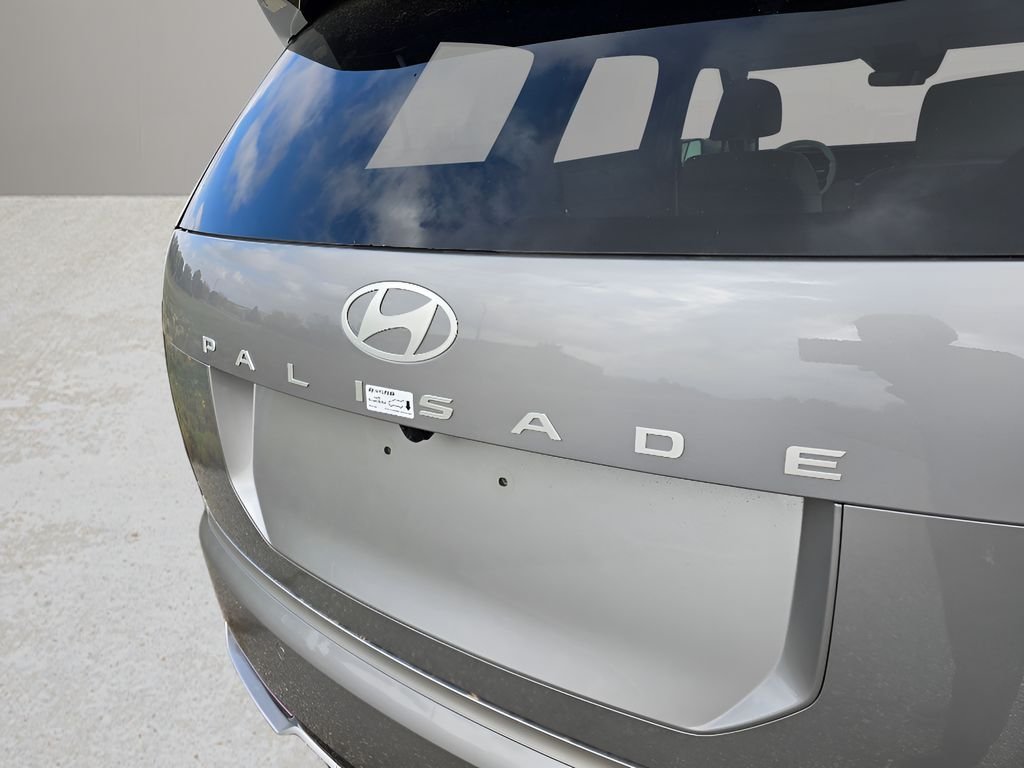 New 2026 Typhoon Silver Metallic Hyundai Calligraphy image 11
