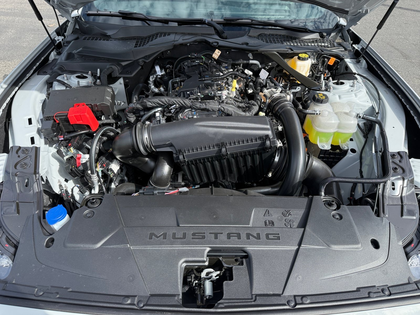 New 2026 Avalanche Gray Ford EcoBoost Premium image 20