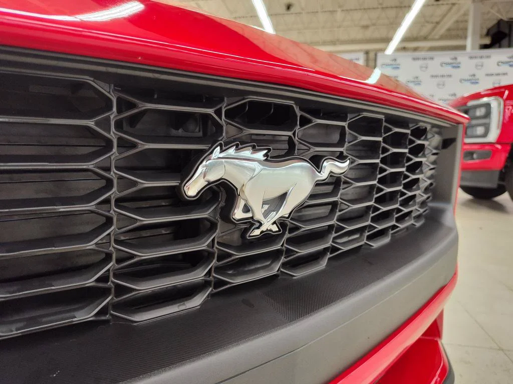 New 2026 Race Red Ford EcoBoost® Fastback image 17