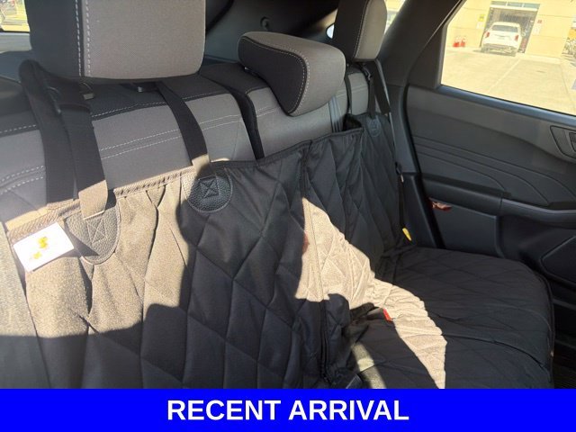 Used 2022 Blue Ford SE image 37